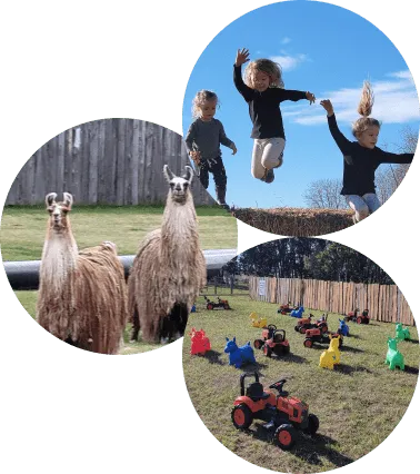 Children jumping into a ball pit near llamas and toy cars outdoors.