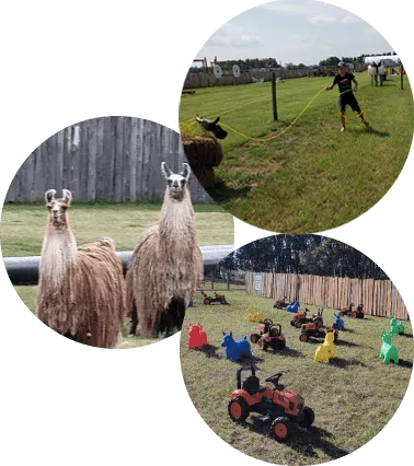 Children play with toy tractors while llamas watch from a fenced area.